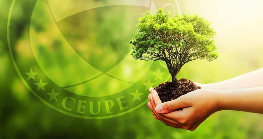 Por qué son importantes las energías renovables
