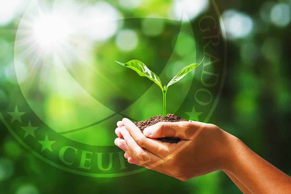 ¿Cómo puede propagarse la Radiación Solar?